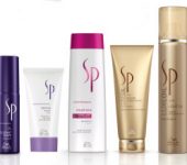 sp-system-professional-300x219 sp-system-professional-300x219